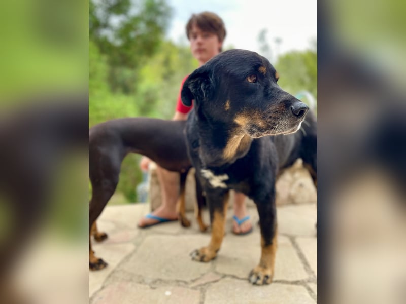 BODIN sucht Alterswohnsitz