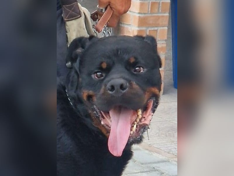 Rio – endlich runter vom Abstellgleis -