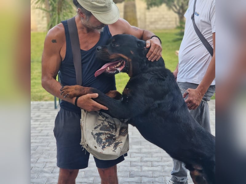 Rio – endlich runter vom Abstellgleis -