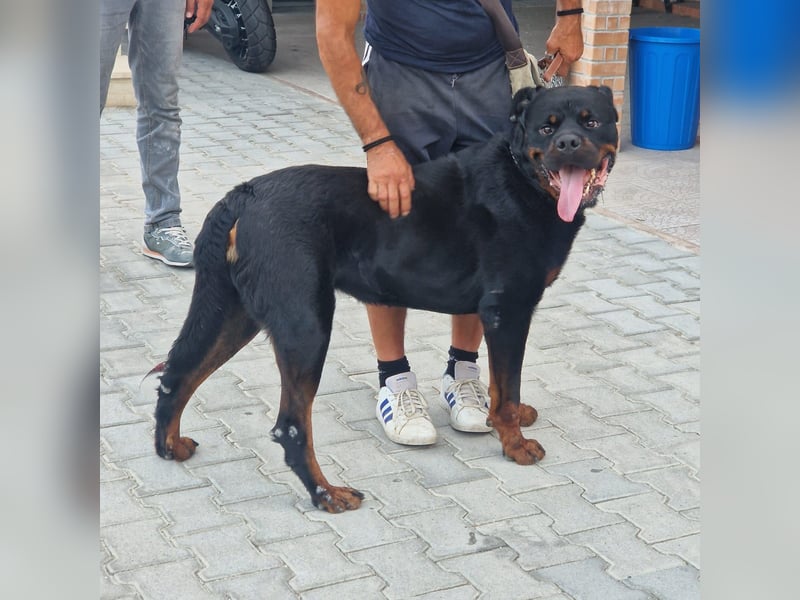 Rio – endlich runter vom Abstellgleis -