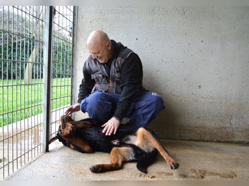 Anoop - Nichts, absolut nichts...