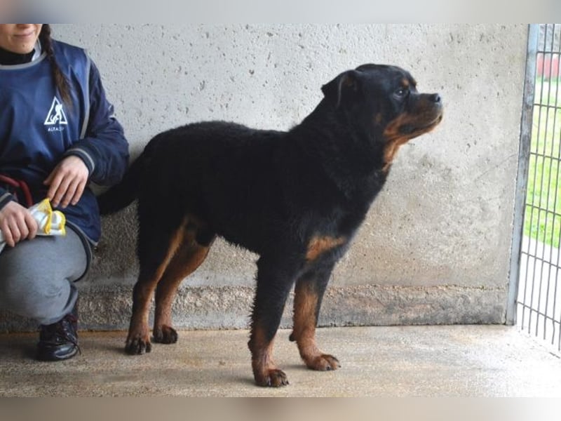 Anoop - Nichts, absolut nichts...