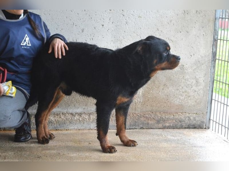 Anoop - Nichts, absolut nichts...