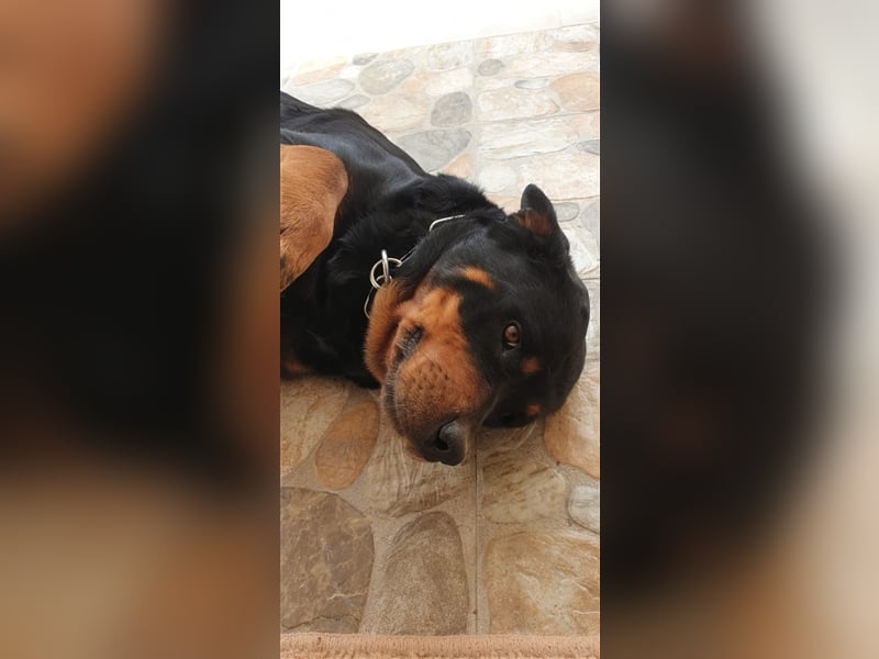 DUNA- liebt ihre Menschen