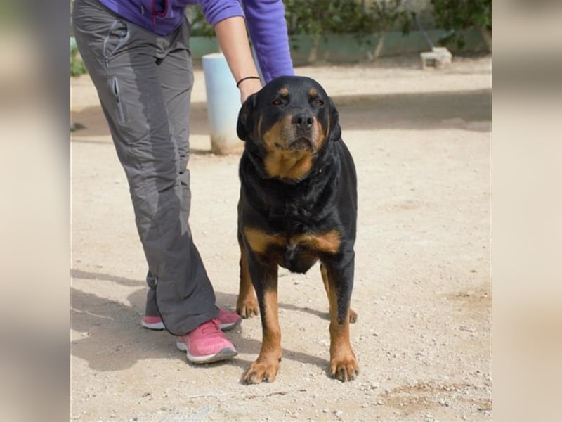 DUNA- liebt ihre Menschen