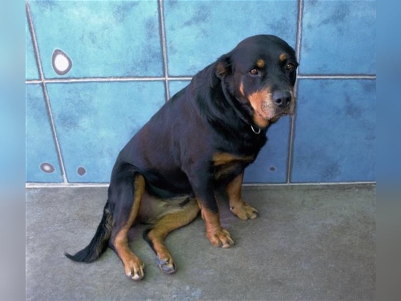 DUNA- liebt ihre Menschen