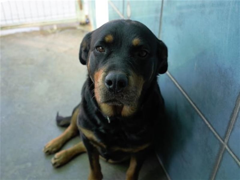 DUNA- liebt ihre Menschen