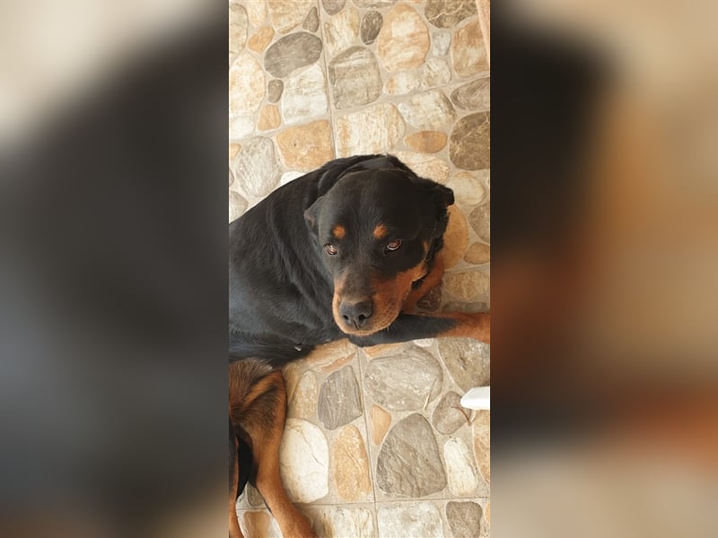 DUNA- liebt ihre Menschen