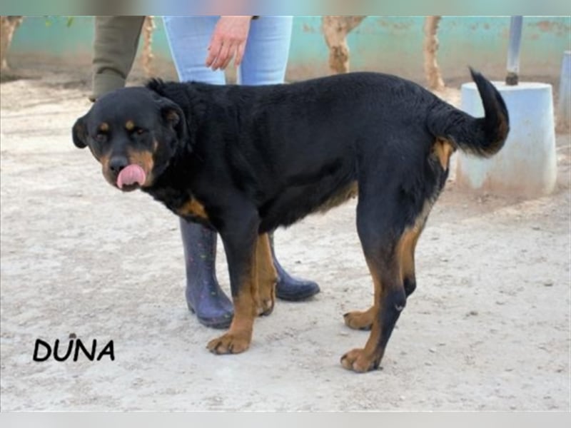 DUNA- liebt ihre Menschen