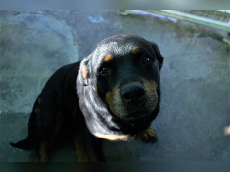 DUNA- liebt ihre Menschen