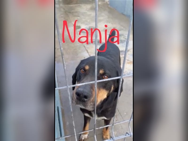 Unsere liebe Nanja