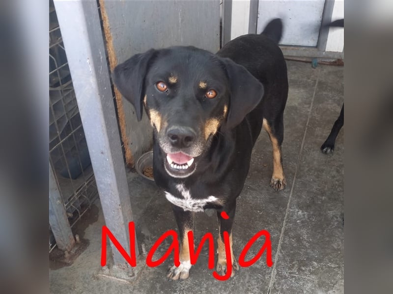 Unsere zauberhafte Nanja