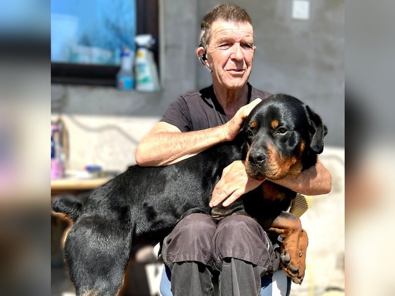Tyson – Schmusebär im falschen Körper