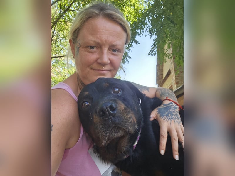 Amando, Rottweiler Rüde sucht eine Familie