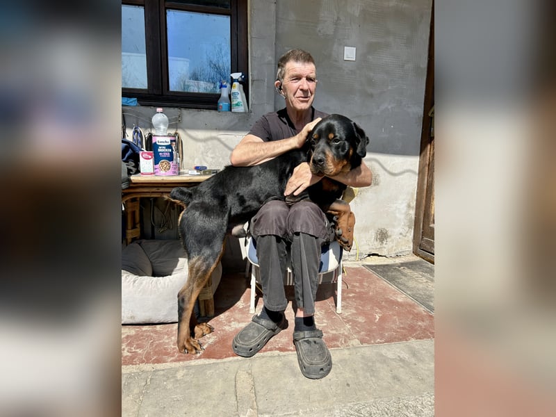 Tyson – Schmusebär im falschen Körper