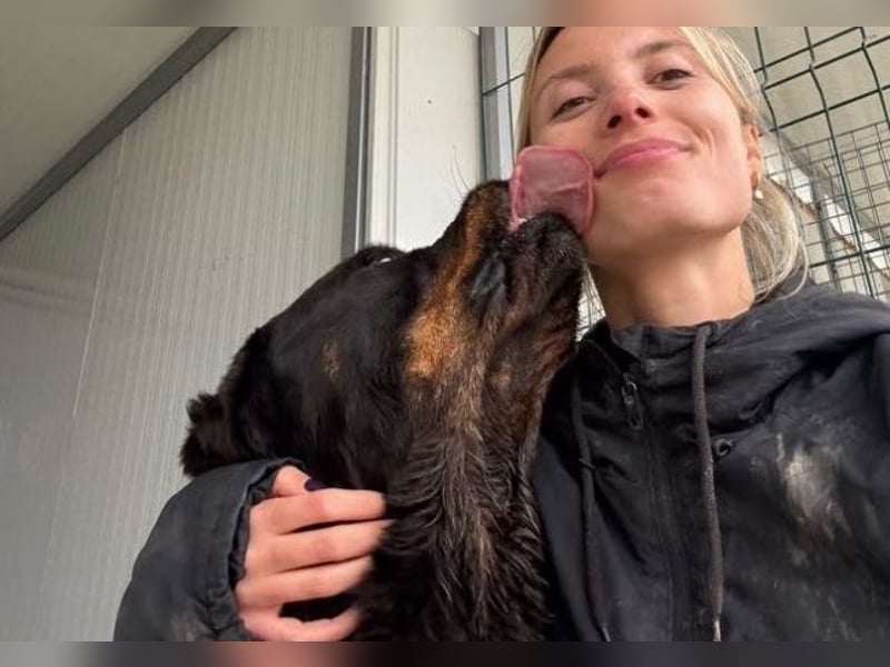 Jessy - liebe, sanfte Rottweiler-Hündin sucht Familie!