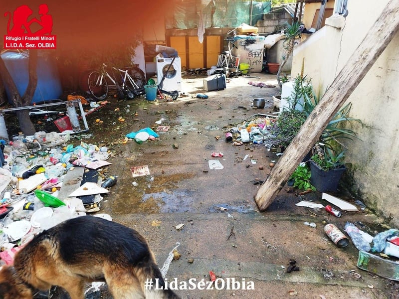 Bertone: trotz allem: er liebt Menschen über alles