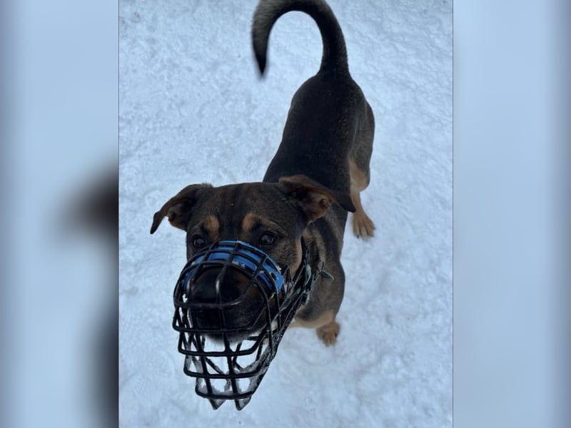 Loucio sucht coole Menschen