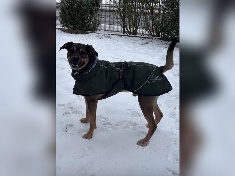 Loucio sucht coole Menschen