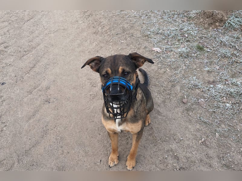 Loucio sucht coole Menschen