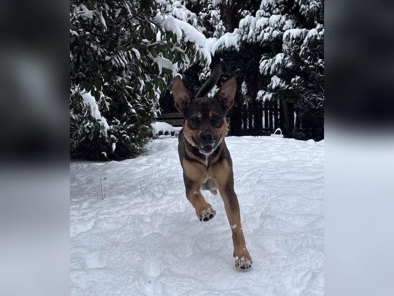 Loucio sucht coole Menschen