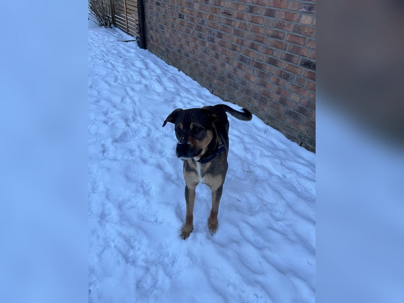 Loucio sucht coole Menschen