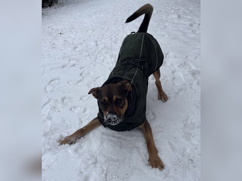 Loucio sucht coole Menschen