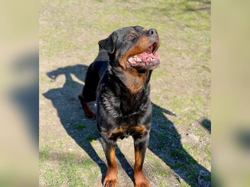 Baro LM Raus aus dem Heim rein ins Herz