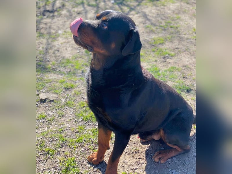 Baro LM Raus aus dem Heim rein ins Herz