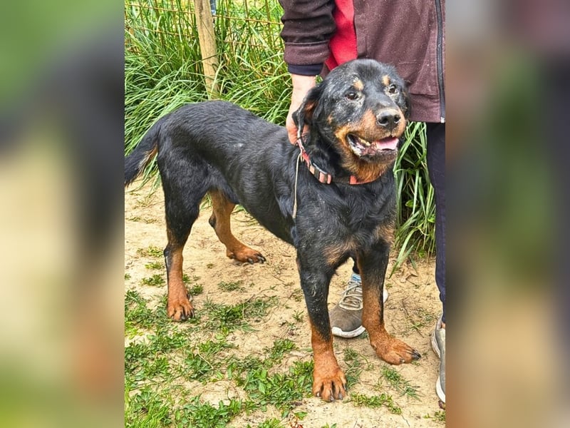 Togo -NOTFALL -  Und plötzlich war alles vorbei