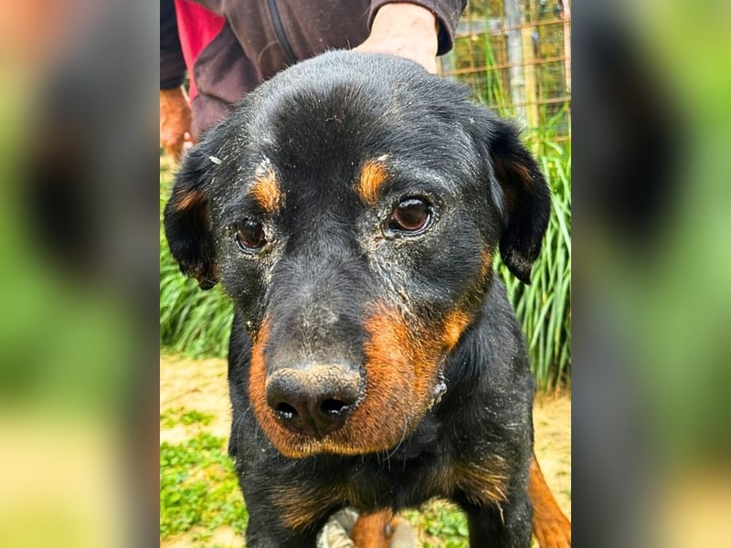 Togo -NOTFALL -  Und plötzlich war alles vorbei