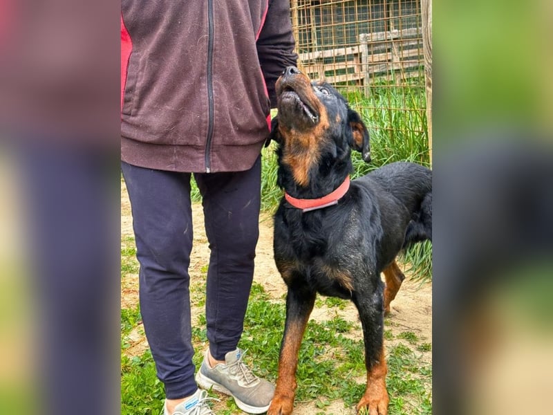 Togo -NOTFALL -  Und plötzlich war alles vorbei