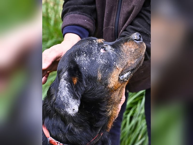 Togo -NOTFALL -  Und plötzlich war alles vorbei