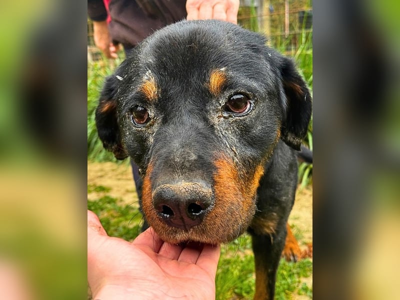 Togo -NOTFALL -  Und plötzlich war alles vorbei