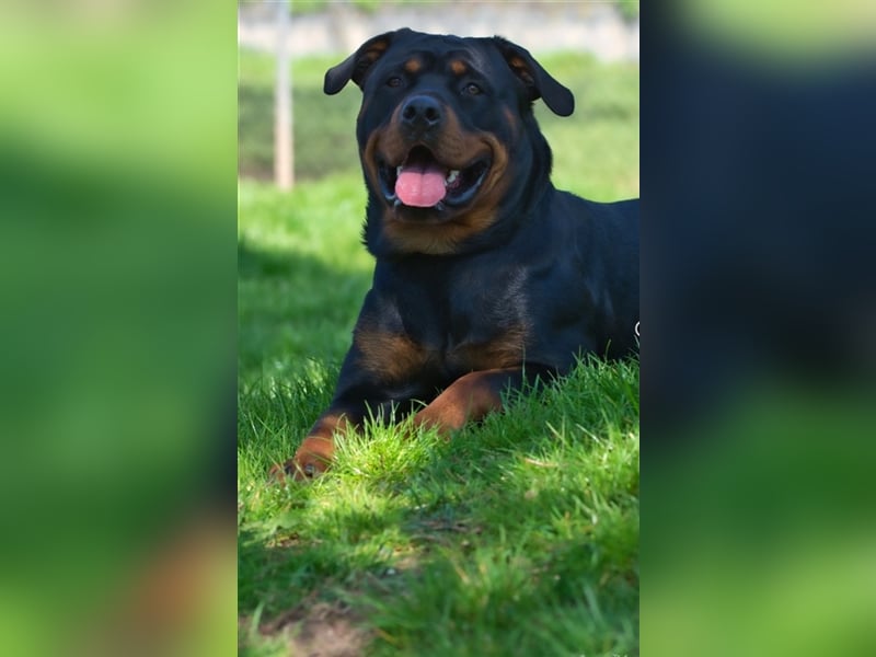 Oskar sucht seine Menschen