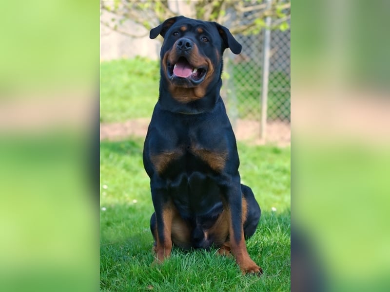 Oskar sucht seine Menschen