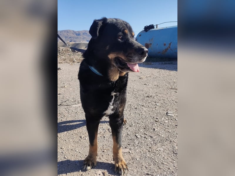 BODIN sucht Alterswohnsitz