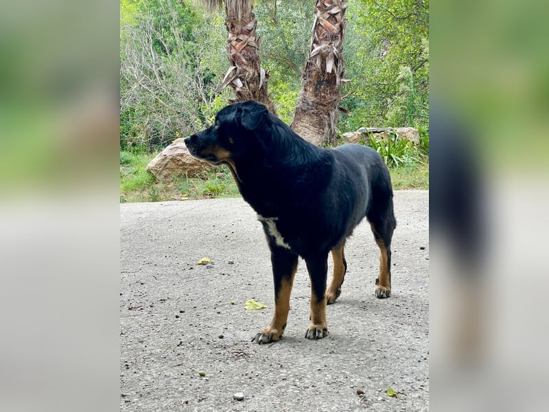 BODIN sucht Alterswohnsitz