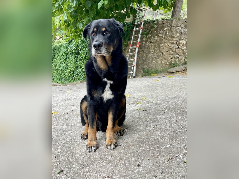 BODIN sucht Alterswohnsitz