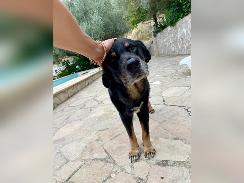 BODIN sucht Alterswohnsitz