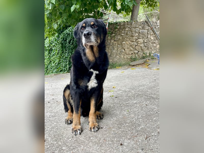 BODIN sucht Alterswohnsitz