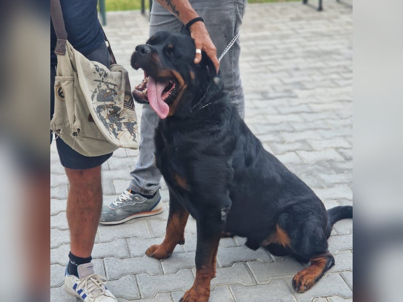 Rio – endlich runter vom Abstellgleis -