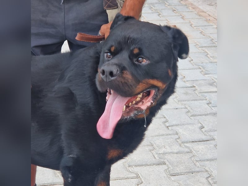 Rio – endlich runter vom Abstellgleis -