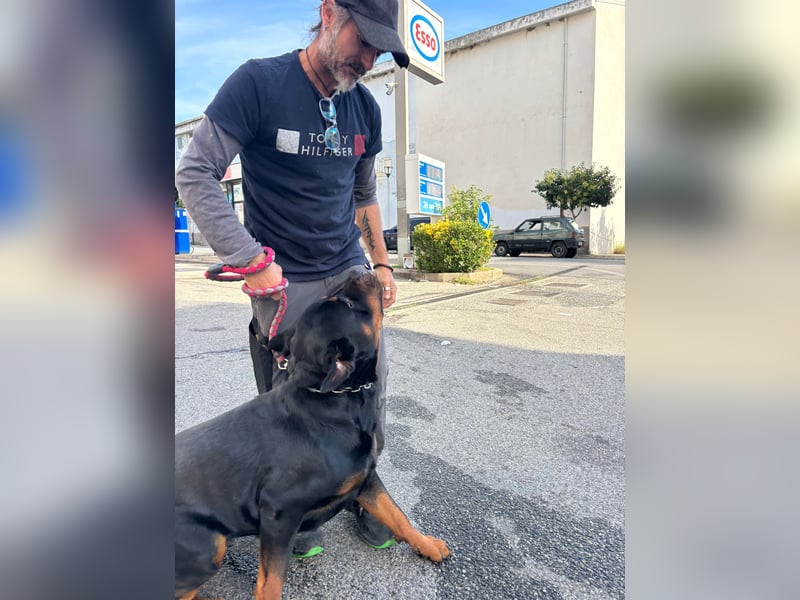 Rio – endlich runter vom Abstellgleis -