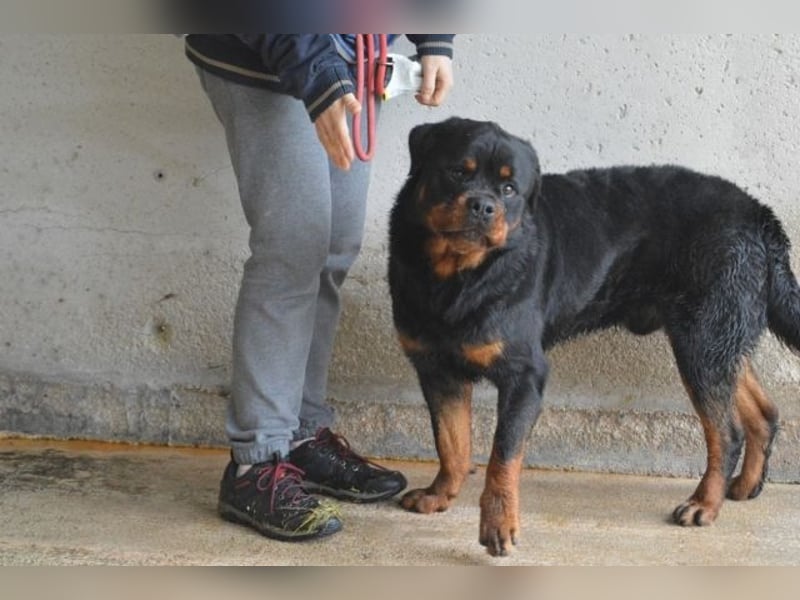 Anoop - Nichts, absolut nichts...