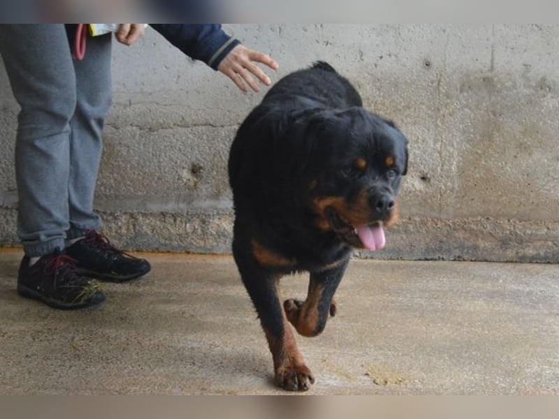 Anoop - Nichts, absolut nichts...