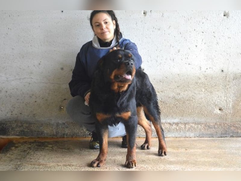 Anoop - Nichts, absolut nichts...