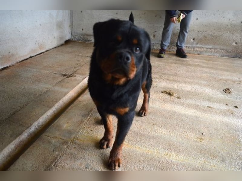 Anoop - Nichts, absolut nichts...