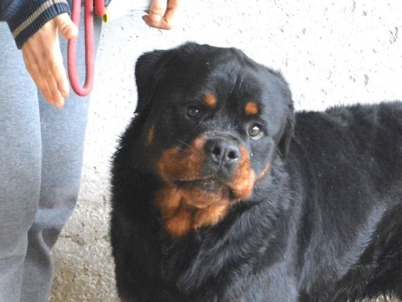 Anoop - Nichts, absolut nichts...