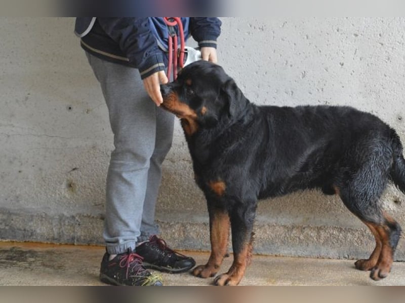 Anoop - Nichts, absolut nichts...